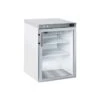 ARMADIO CONGELATORE -12°/+5°C IN ABS 200 Litri