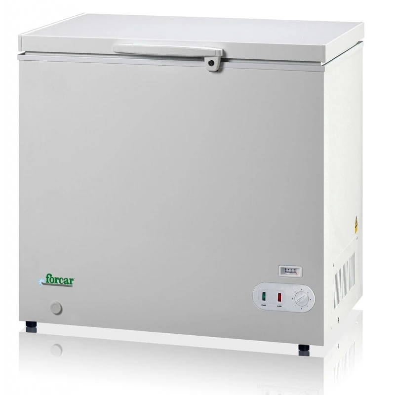 CONGELATORE A POZZETTO 250 Litri CONGELATORE A POZZETTO 250 Litri -Macchine del Gusto congelatore a pozzetto 250 litri